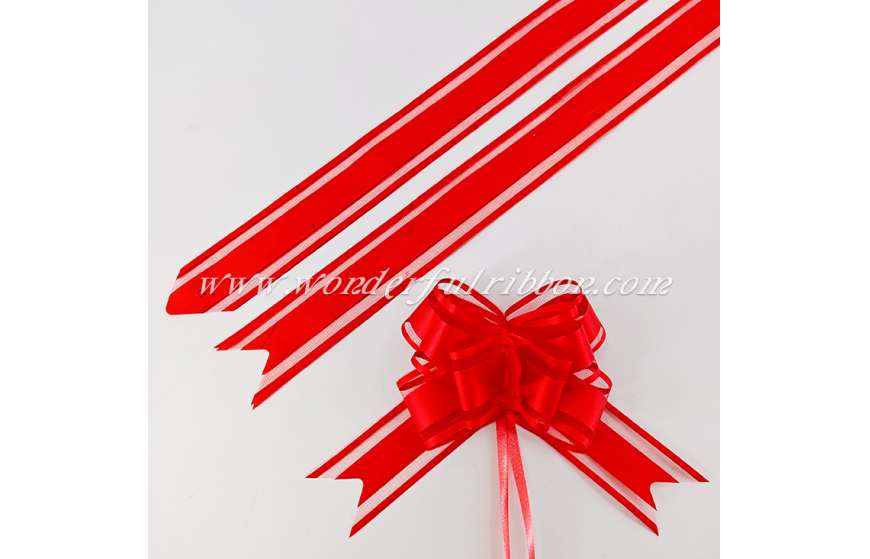 Solid Matte Organza Butterfly Pull Bow